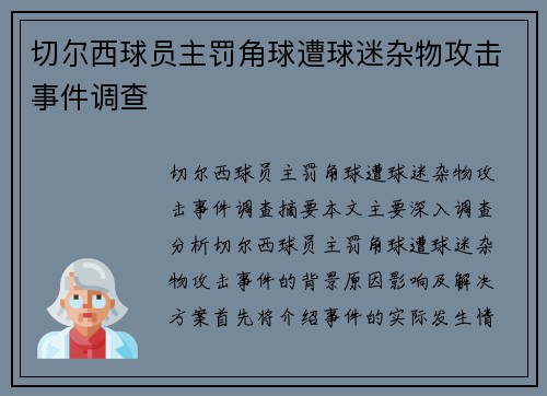 切尔西球员主罚角球遭球迷杂物攻击事件调查